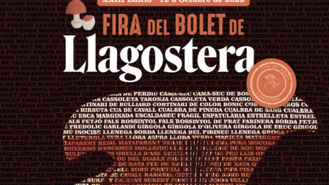 Bolets i gent a la Fira del Bolet de Llagostera. Imatge llagostera.cat