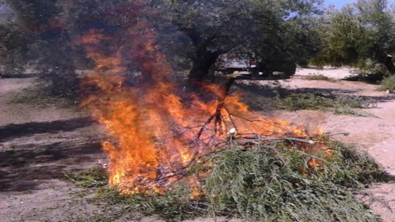 permis-x-fer-foc-ajalcover_