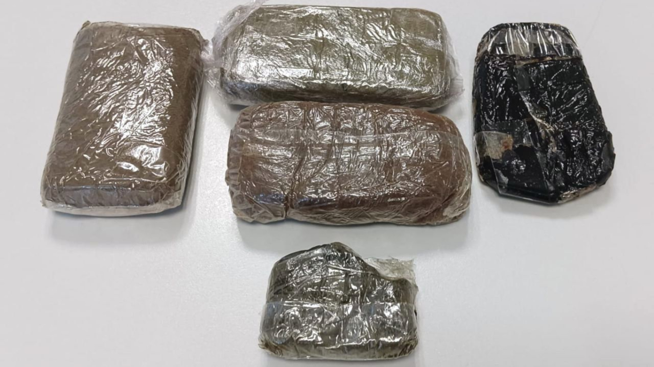 haxix-trobats-escorcoll-cabra-mossos-esquadra