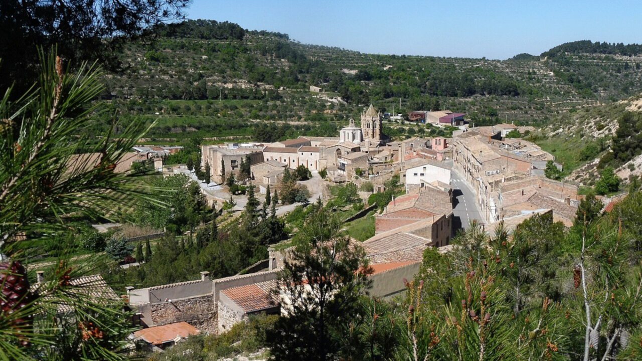 vallbona-Isidre-blanc-wc
