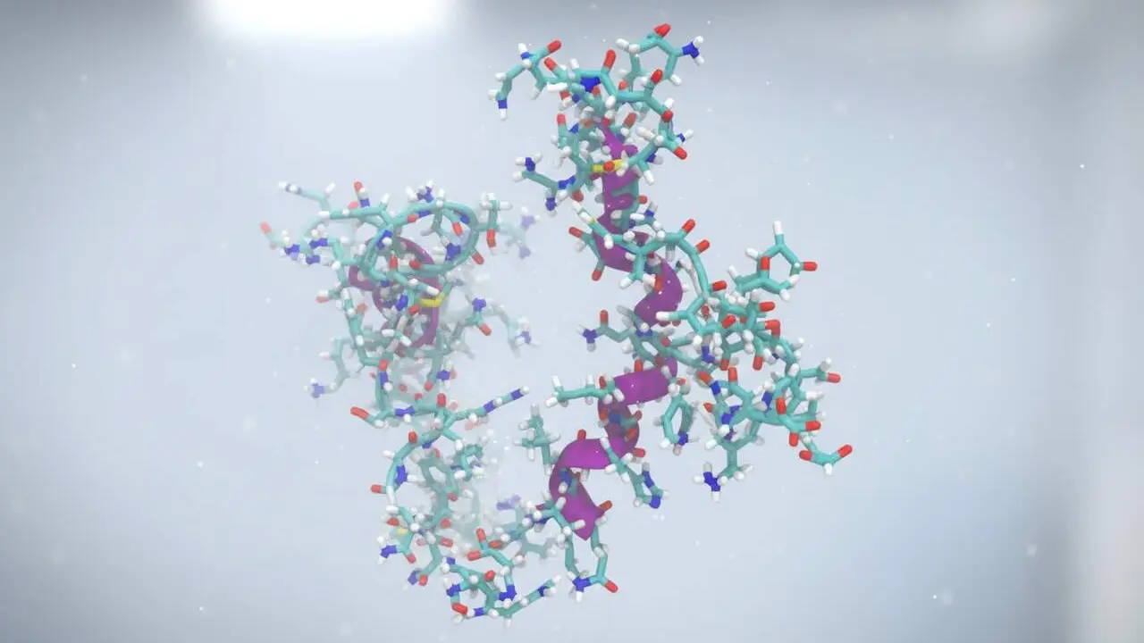 L&rsquo;eina PDB-CAT de la URV per analitzar r&agrave;pidament 250.000 estructures de prote&iuml;nes del Protein Data Bank