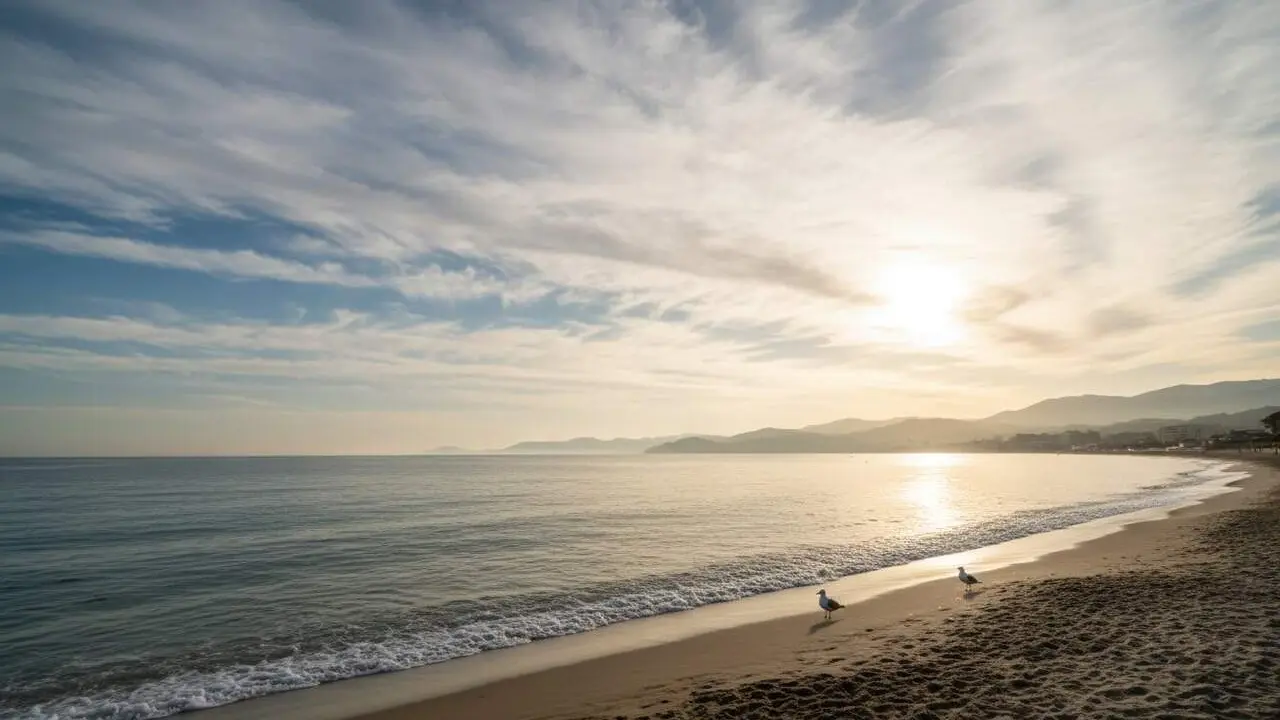 Cel amb n&uacute;vols alts i mitjans al ter&ccedil; nord i est amb temperatures suaus durant la predicci&oacute; d'avui