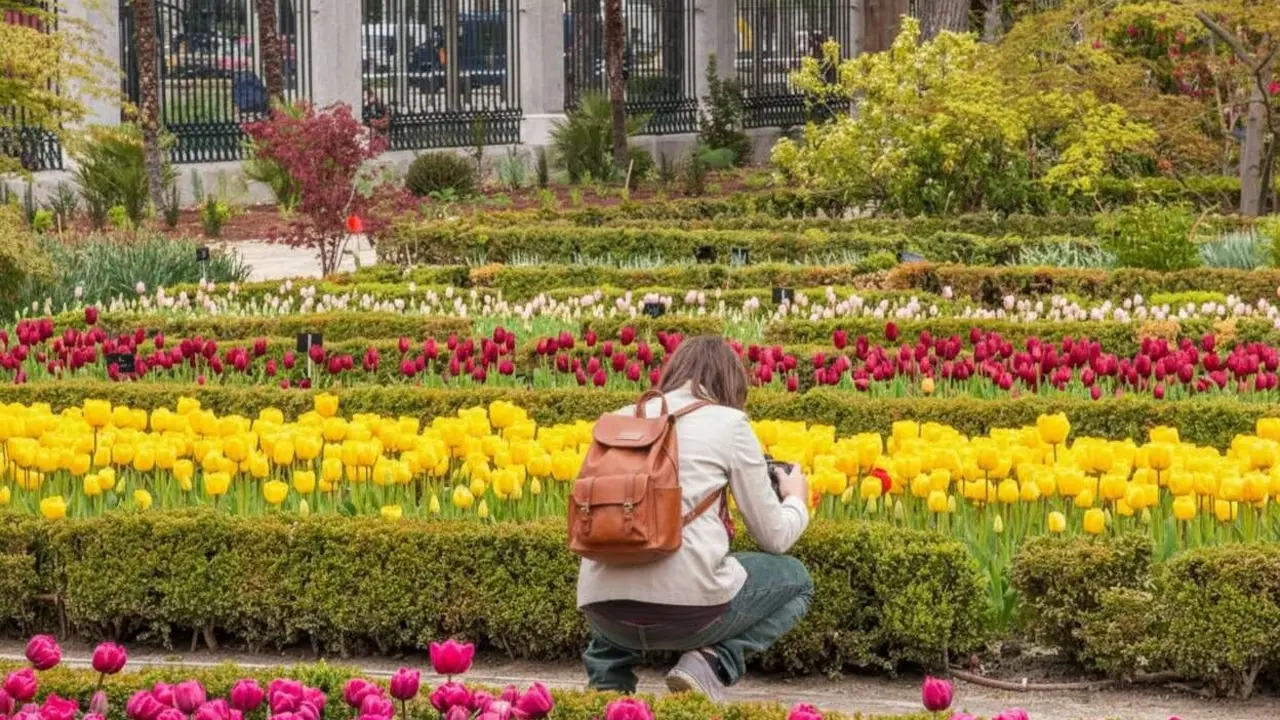 Espectacular floraci&oacute; de totes les tulipes del Reial Jard&iacute; Bot&agrave;nic de Madrid. Foto d'arxiu.