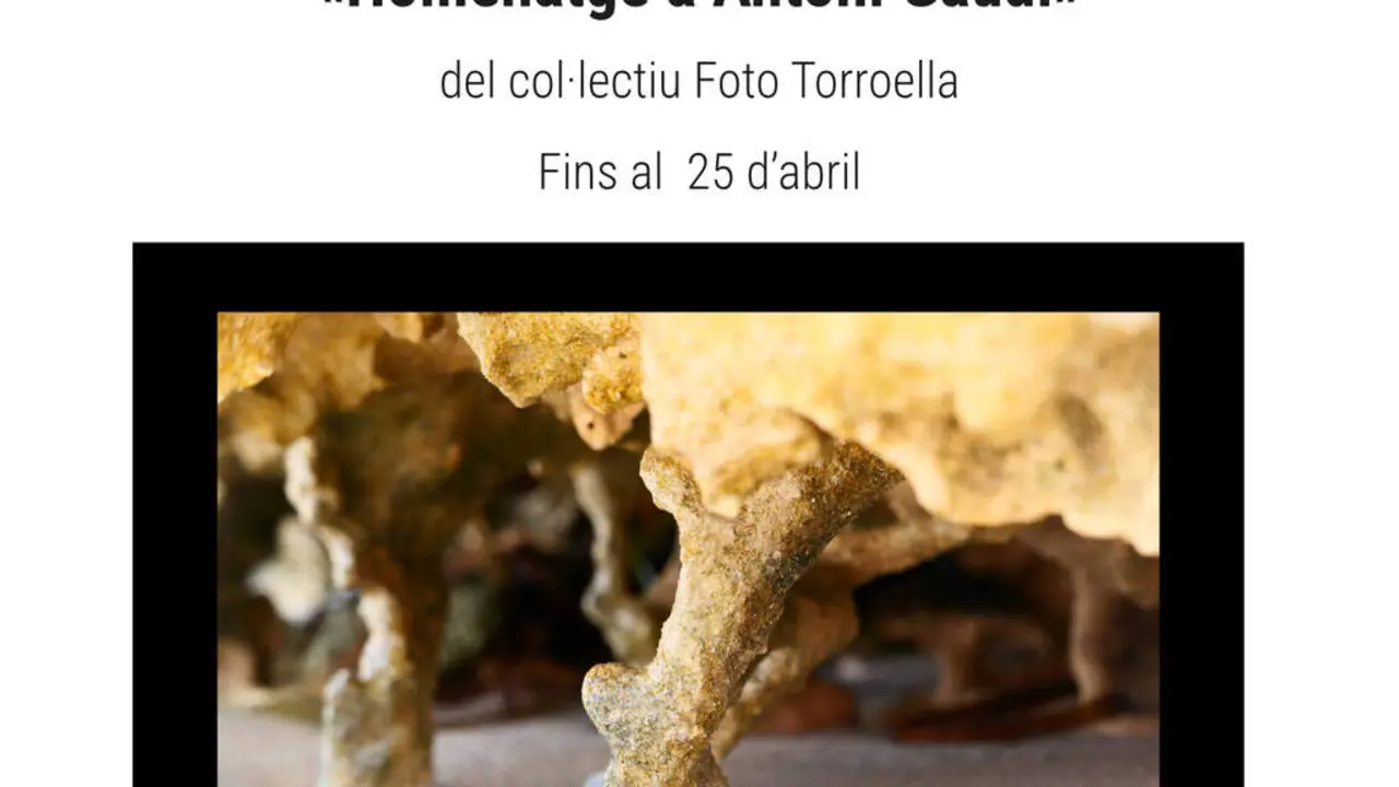 Imatge del Centre de Lectura de Reus amb activitats culturals destacades del 30 de mar&ccedil; al 12 d&rsquo;abril