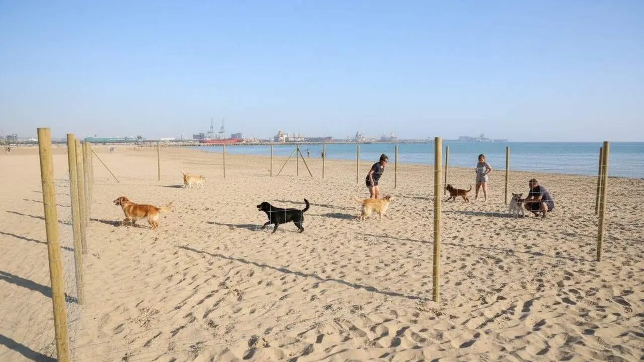 A la Pineda, els gossos ja poden campar per la platja, per&ograve; dins una zona ben delimitada.