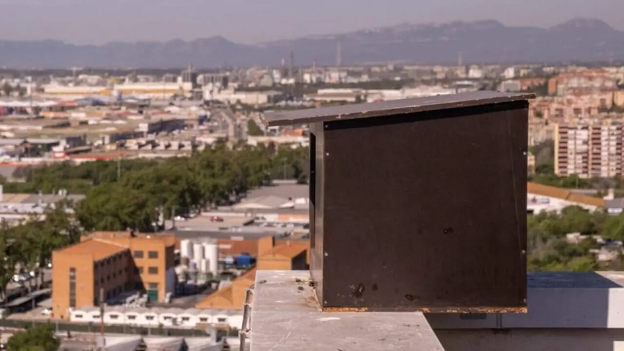  Caixa niu per a rapinyaires instal&middot;lada a Tarragona per protegir la biodiversitat local i afavorir la fauna aut&ograve;ctona &mdash; Imagen de la Fuente 