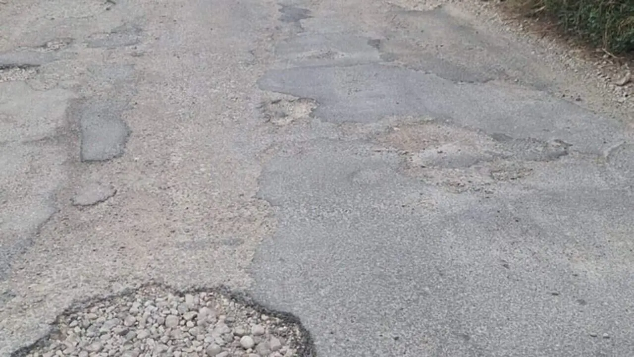 Repavimentaci&oacute; del cam&iacute; de Sant Francesc a Tortosa i Roquetes amb ajut de 250.000 euros de la Diputaci&oacute; de Tarragona &mdash; Imagen de la Fuente