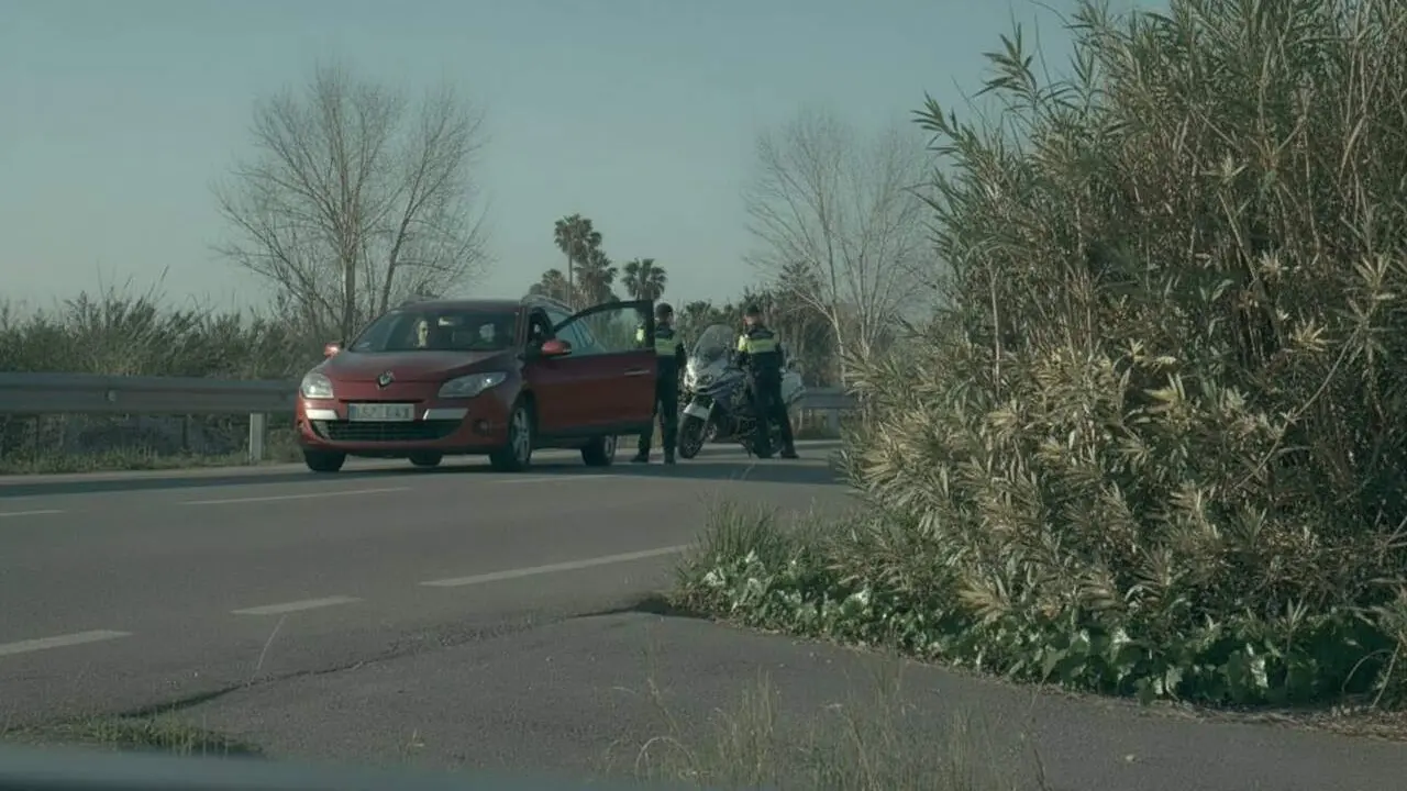 Conductor novel denunciat per amagar un radar dels Mossos d&rsquo;Esquadra ocult darrere d&rsquo;arbustos a la carretera &mdash; Imagen generada por IA