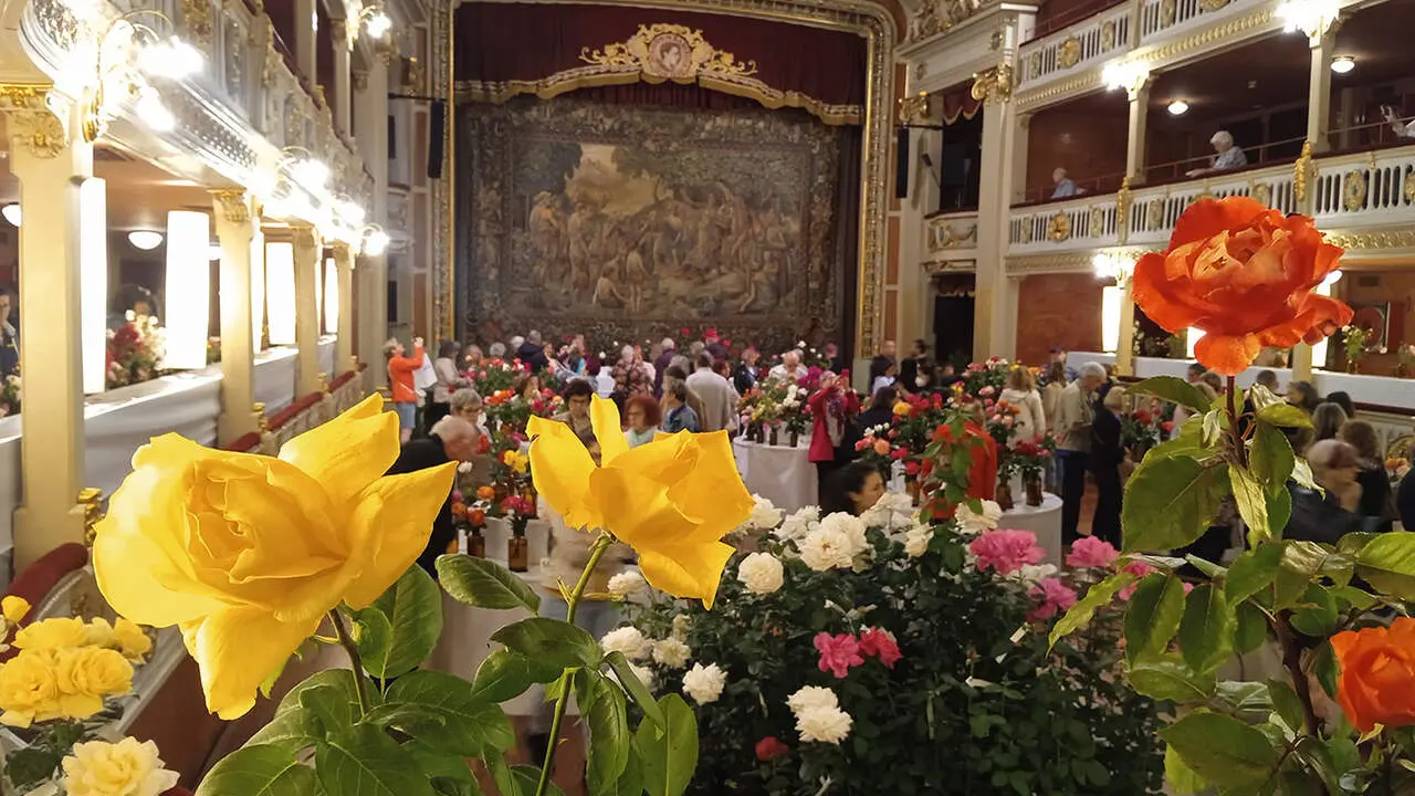 Lliurament dels premis del 79&egrave; Concurs Nacional de Roses a Reus amb flors espectaculars i participants destacats &mdash; Imagen de la Fuente