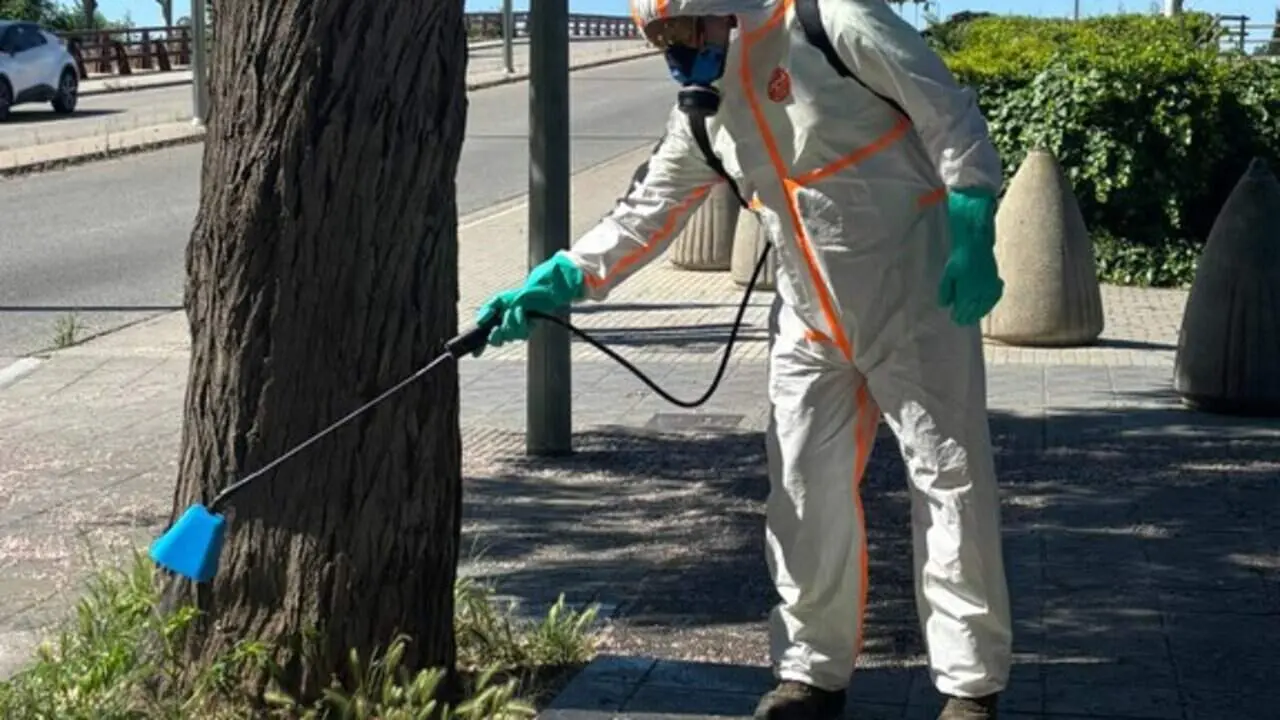 Pla d&rsquo;acci&oacute; de Tarragona per controlar la vegetaci&oacute; espont&agrave;nia i millorar els espais verds urbans de la ciutat &mdash; Imagen de la Fuente