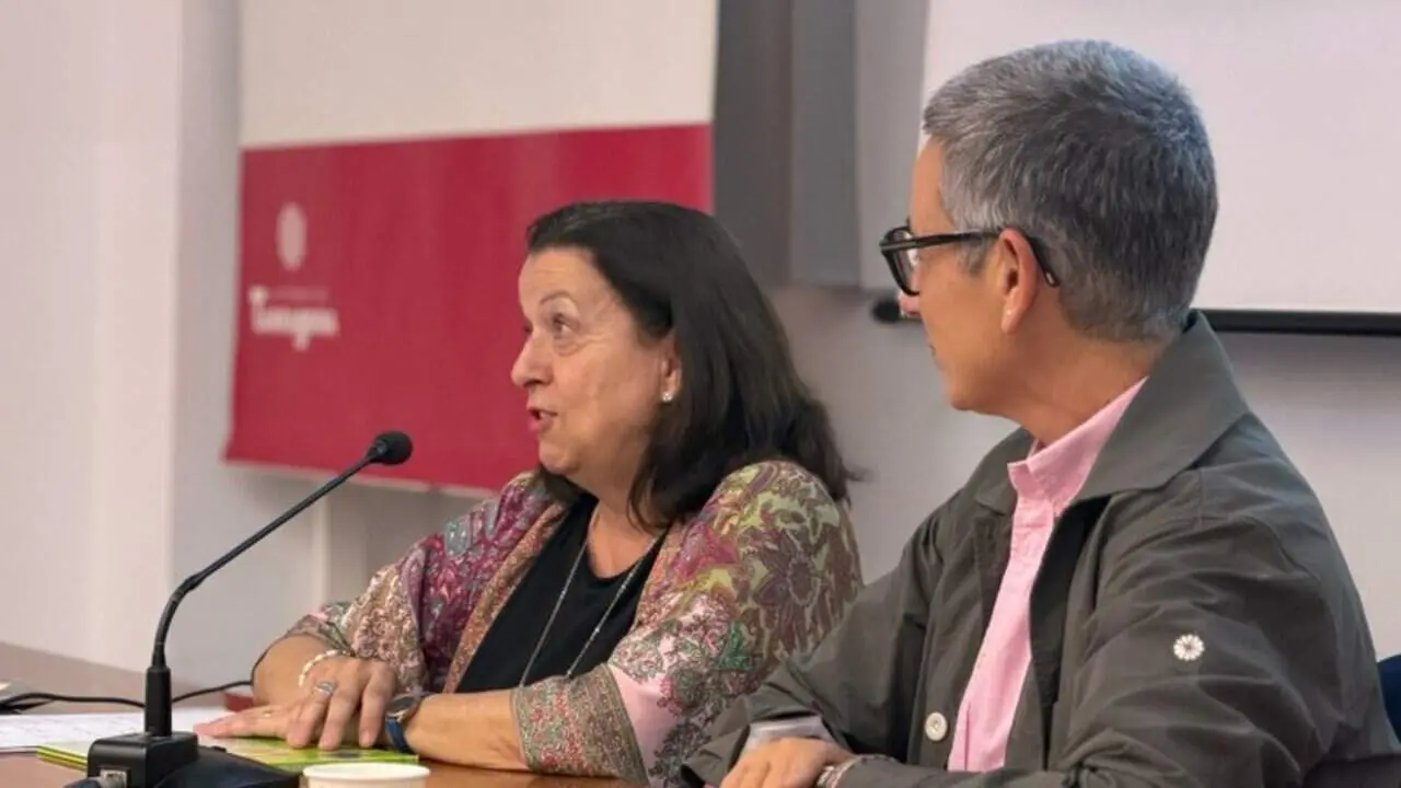  Configuraci&oacute; avan&ccedil;ada d'insuit per millorar l'accessibilitat en plataformes educatives de Tarragona &mdash; Imagen de la Fuente 
