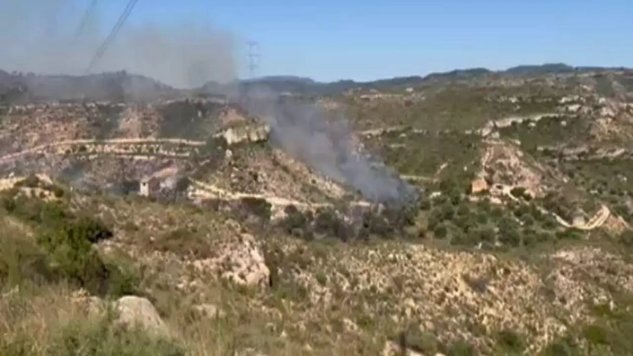  Bombers treballant en incendi de vegetaci&oacute; agr&iacute;cola i boscos a Vinebre amb dotacions terrestres i a&egrave;ries &mdash; Imagen de la Fuente 