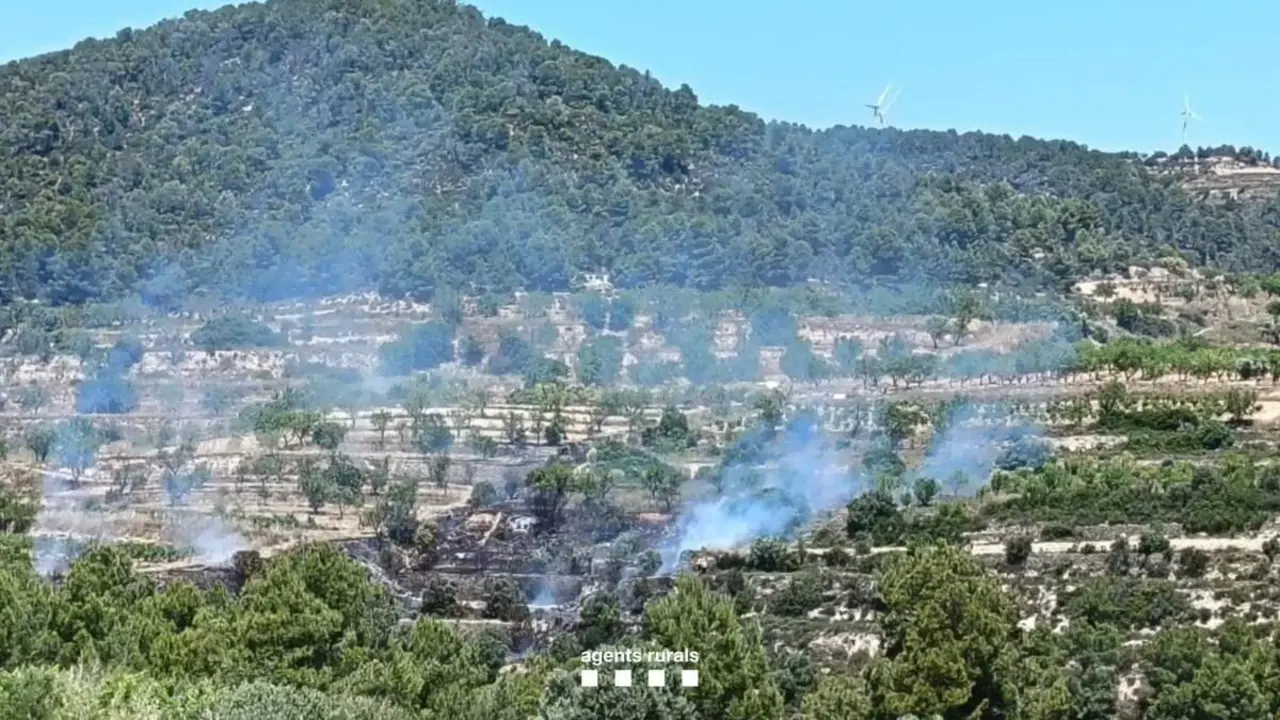  Incendi a Batea Terra Alta cremant una hect&agrave;rea de vegetaci&oacute; segons Agents Rurals en actuaci&oacute; urgent &mdash; Imagen de la Fuente 