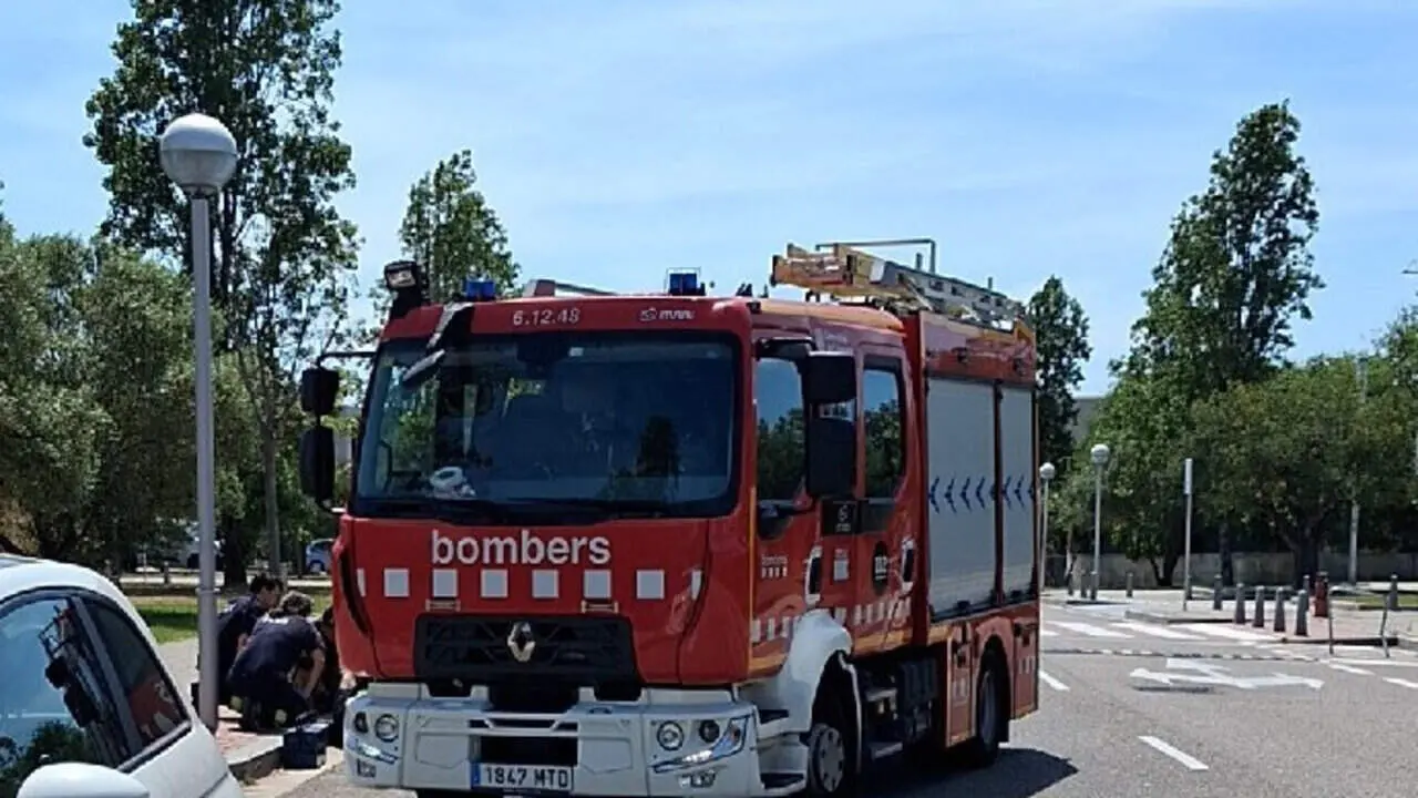  Cinc cadellets rescatats dels baixos d&rsquo;un cotxe a la cantonada dels carrers Maria Castillo amb Antoni Gaud&iacute; de Salou per la Policia &mdash; Imagen de la Fuente 