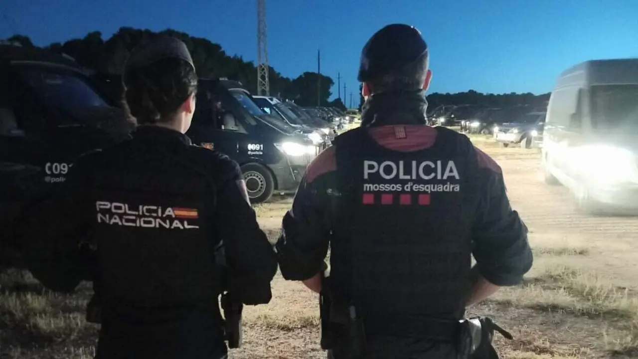  Operaci&oacute; policial a Cabra de Camp per desmantellar organitzaci&oacute; criminal dedicada al cultiu i tr&agrave;fic de marihuana &mdash; Imagen de la Fuente 
