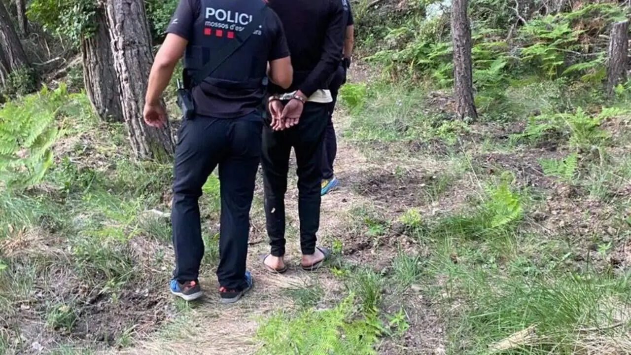  Detenci&oacute; de tres homes en el Baix Camp per desmantellar un cultiu de marihuana amb 4.000 plantes en hivernacles artesanals en zona boscosa de dif&iacute;cil acc&eacute;s &mdash; Imagen de la Fuente 
