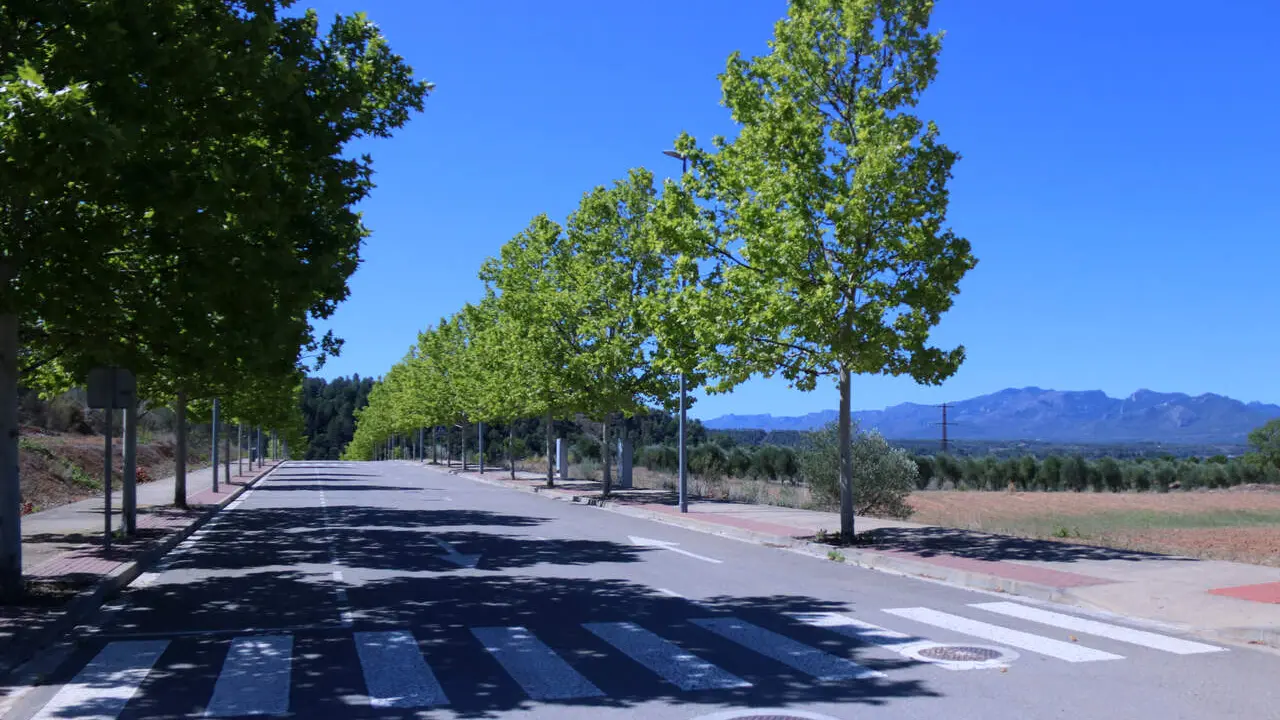 M&oacute;ra la Nova ser&agrave; la seu de la nova gigafactoria d&rsquo;intel&middot;lig&egrave;ncia artificial innovadora a Catalunya &mdash; Imagen de la fuente