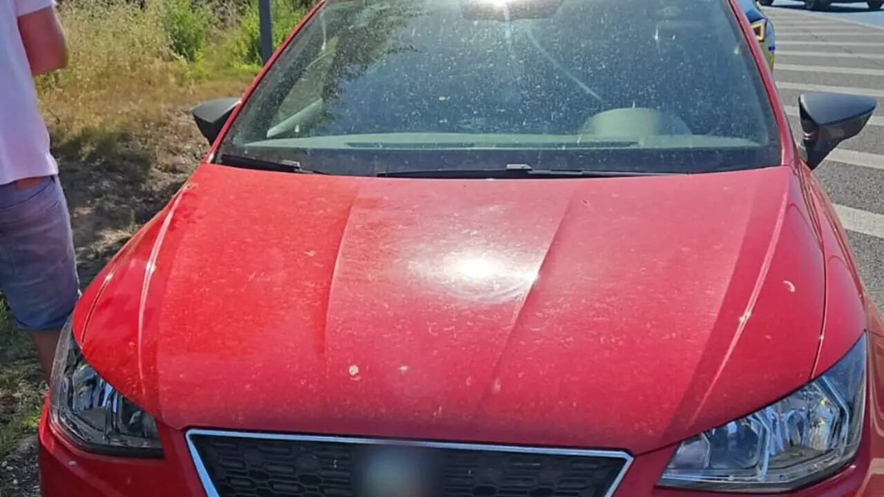  Conductor multat per circular a 192 km/h i positiu en drogues a Valls en control policial a Tarragona &mdash; Imagen de la Fuente 