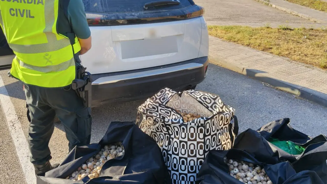 Agents de policia inspeccionant el vehicle amb les c&agrave;psules de planta de l opi confiscades a l Aldea &mdash; Imagen de la Fuente