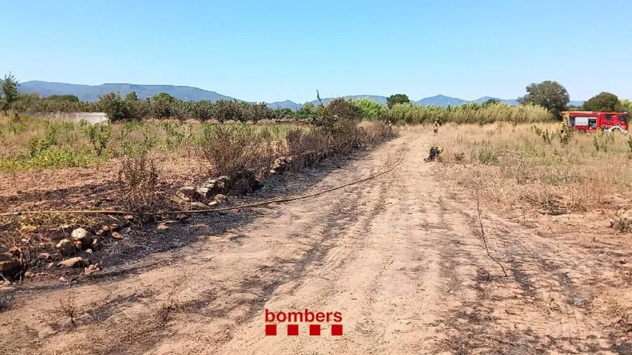  Incendi estabilitzat de baixa intensitat a una zona de canyes prop de la granja dels Frares al Morell &mdash; Imagen de la Fuente 
