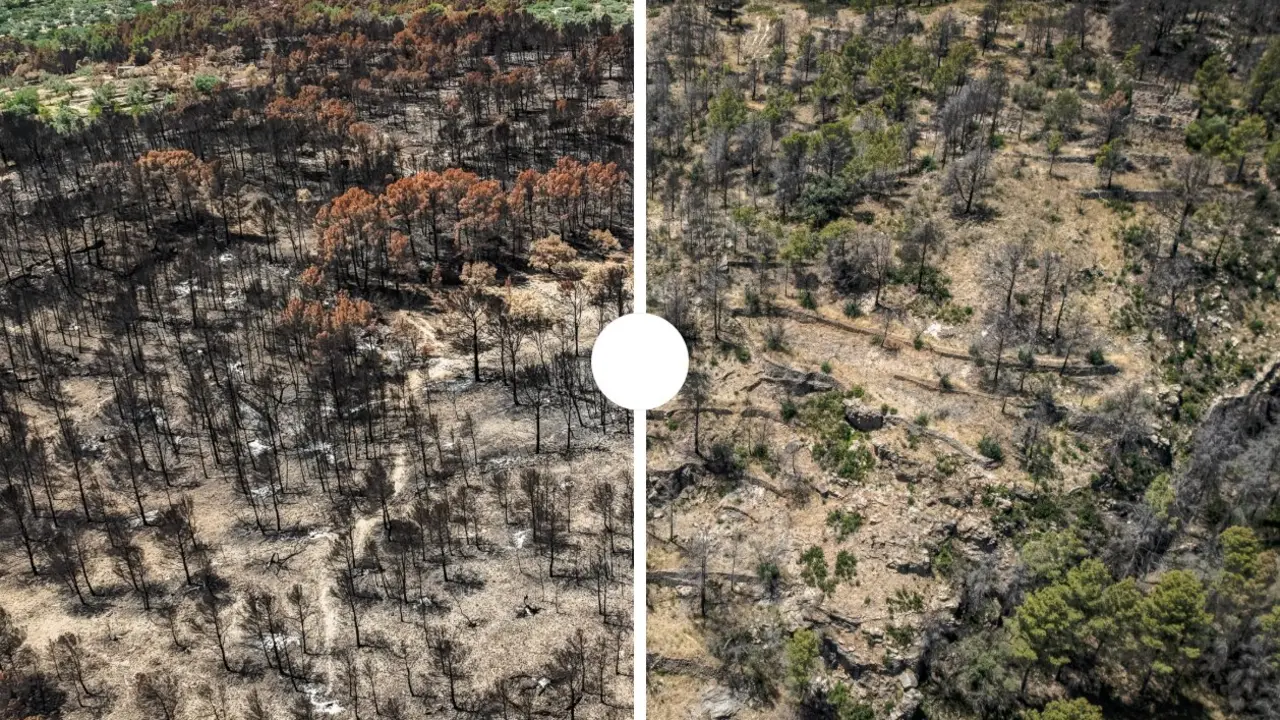 Paisatge cremat de l&rsquo;incendi de Pa&uuml;ls amb les cicatrius que encara marquen m&eacute;s de 3.000 hect&agrave;rees un any despr&eacute;s &mdash; Imagen de la Fuente