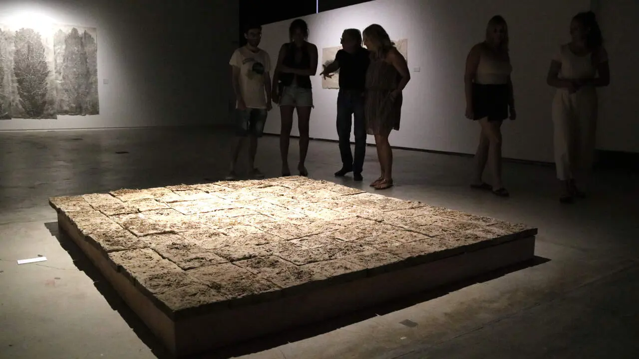 Exposici&oacute; Arbres de Manolo Ripoll&egrave;s a Lo Pati