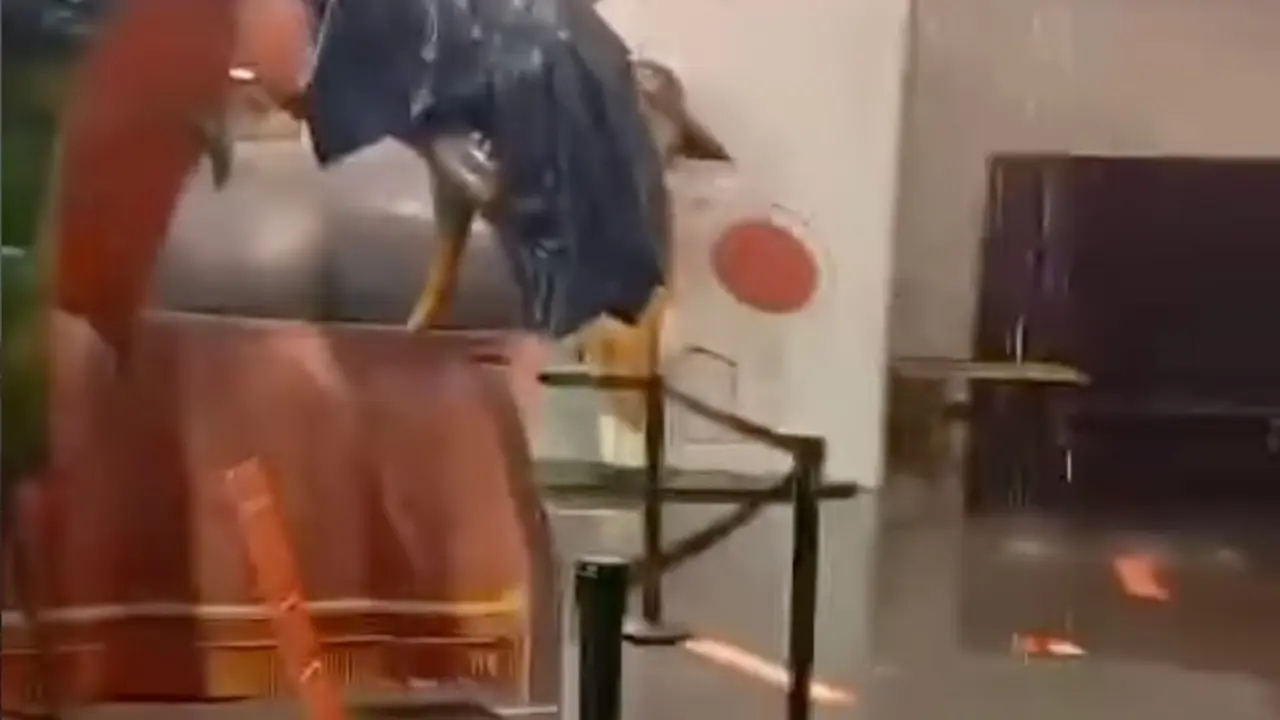 Pluja intensa a Tarragona amena&ccedil;a la sortida del Seguici Popular i el desenvolupament de la festa tradicional &mdash; Imagen Instagram @candelaenxaneta