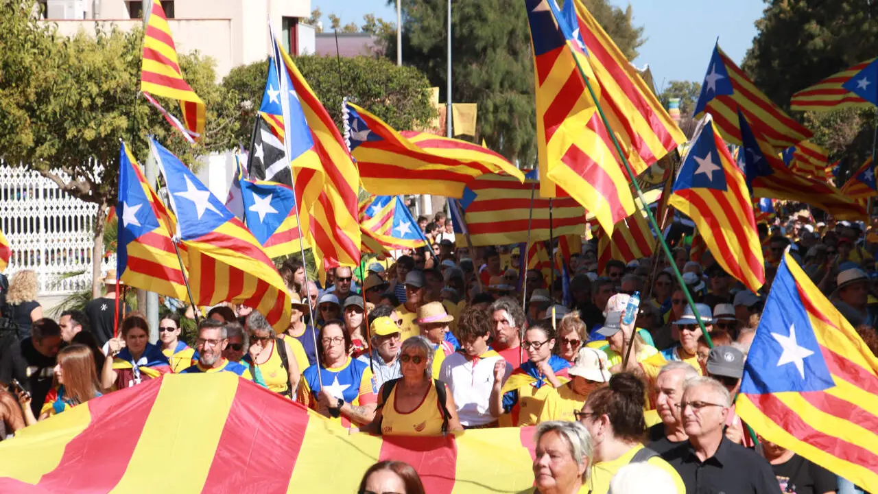 Estelades a la manifestaci&oacute; de l'11 de setembre a Amposta