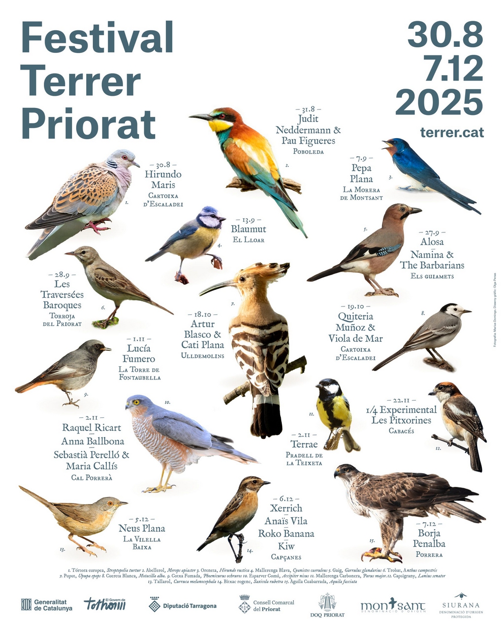 cartell-festival-terrer