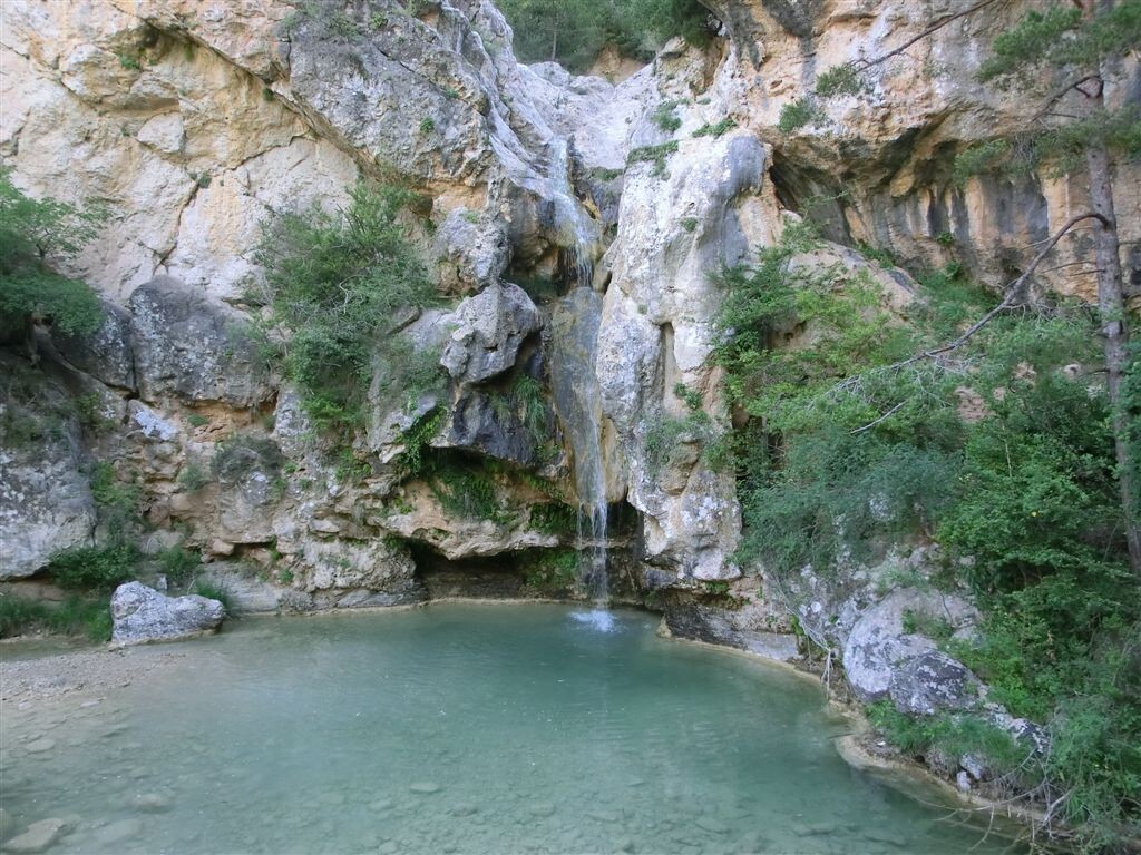 gorgs-febro-tot-natura