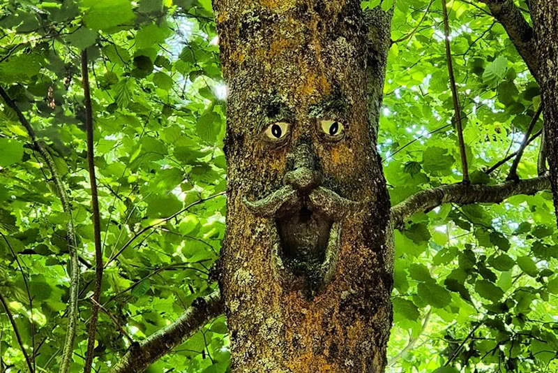 Cami-de-la-bruixa-de-Tredos