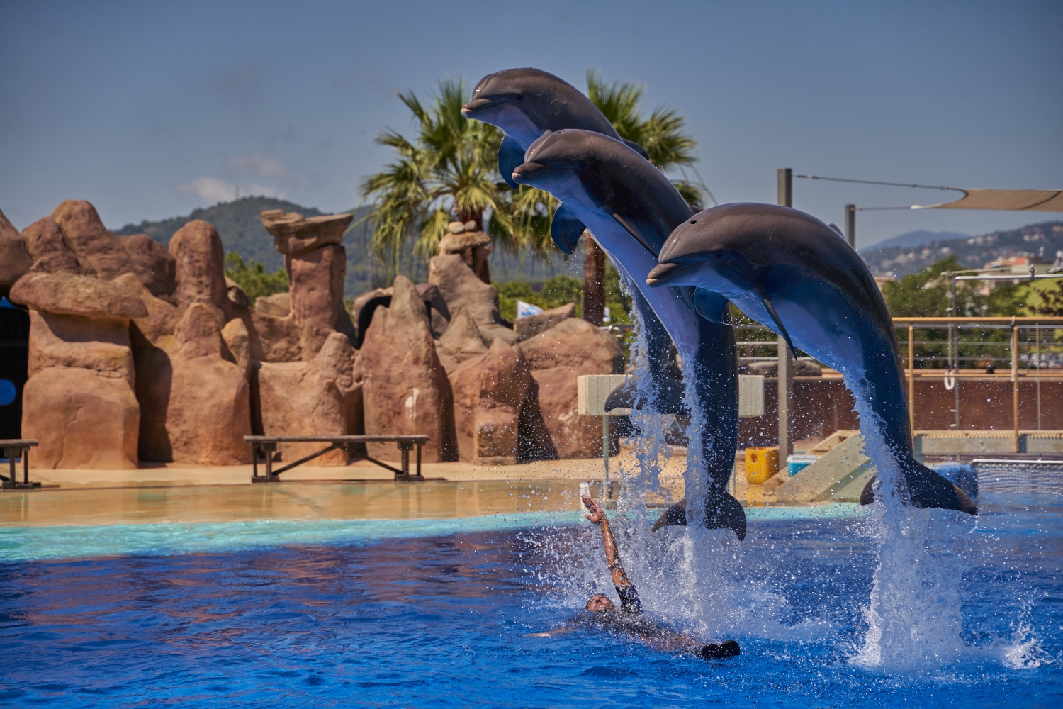 marineland