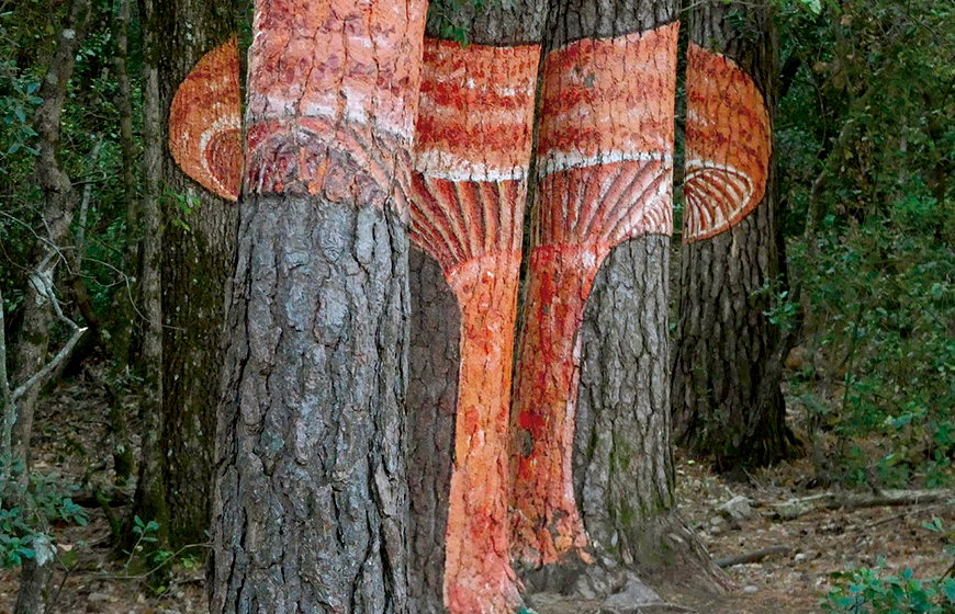 bosc-pintat-poblet-rovelló