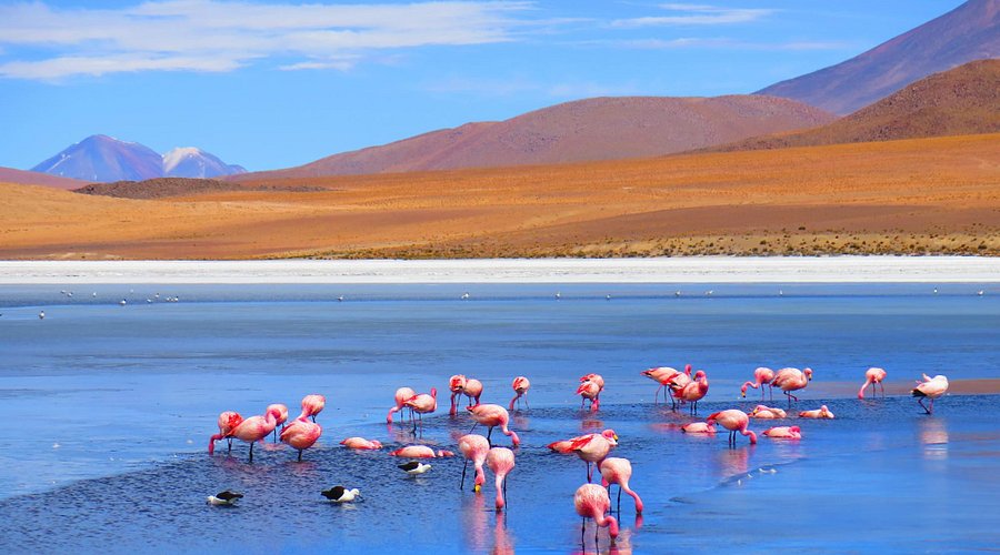 Llacuna Cañapa (Uyuni)-Bolívia