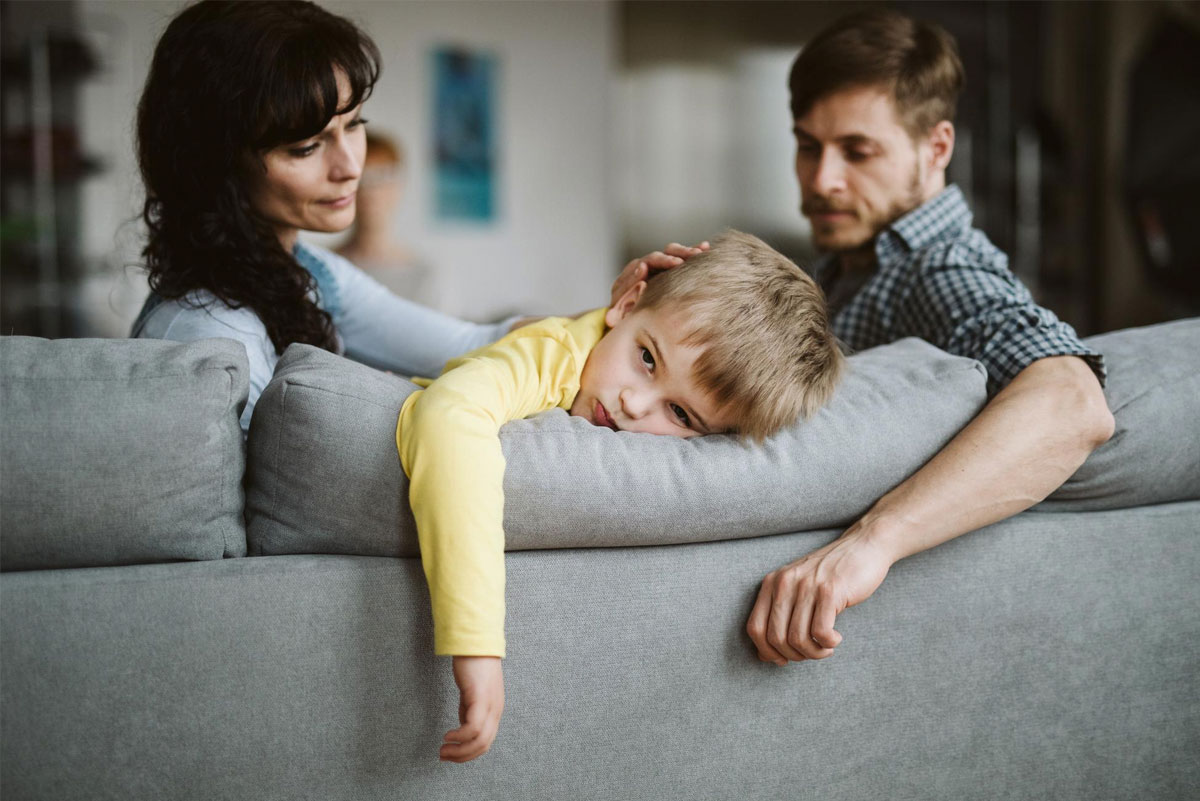 El millor terreny per a la creativitat