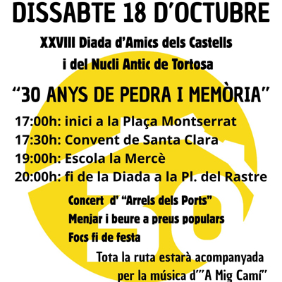 diada-amics-dels-castells-tortosa
