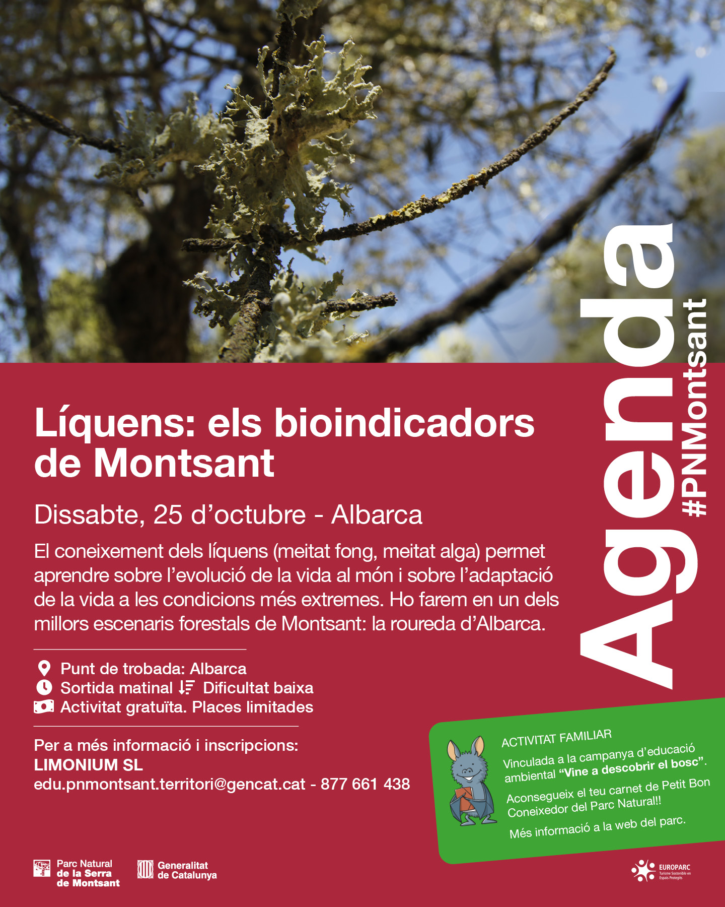 cartell-liquens-albarca