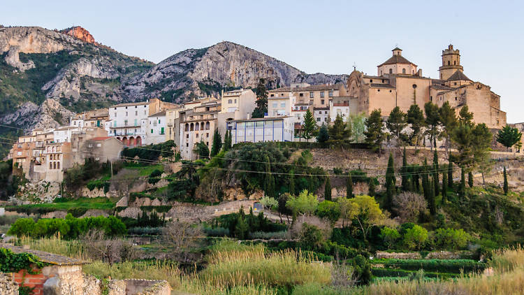 tivissa-turismetivissa.com_