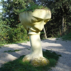 can-ginebreda-calze_felatori