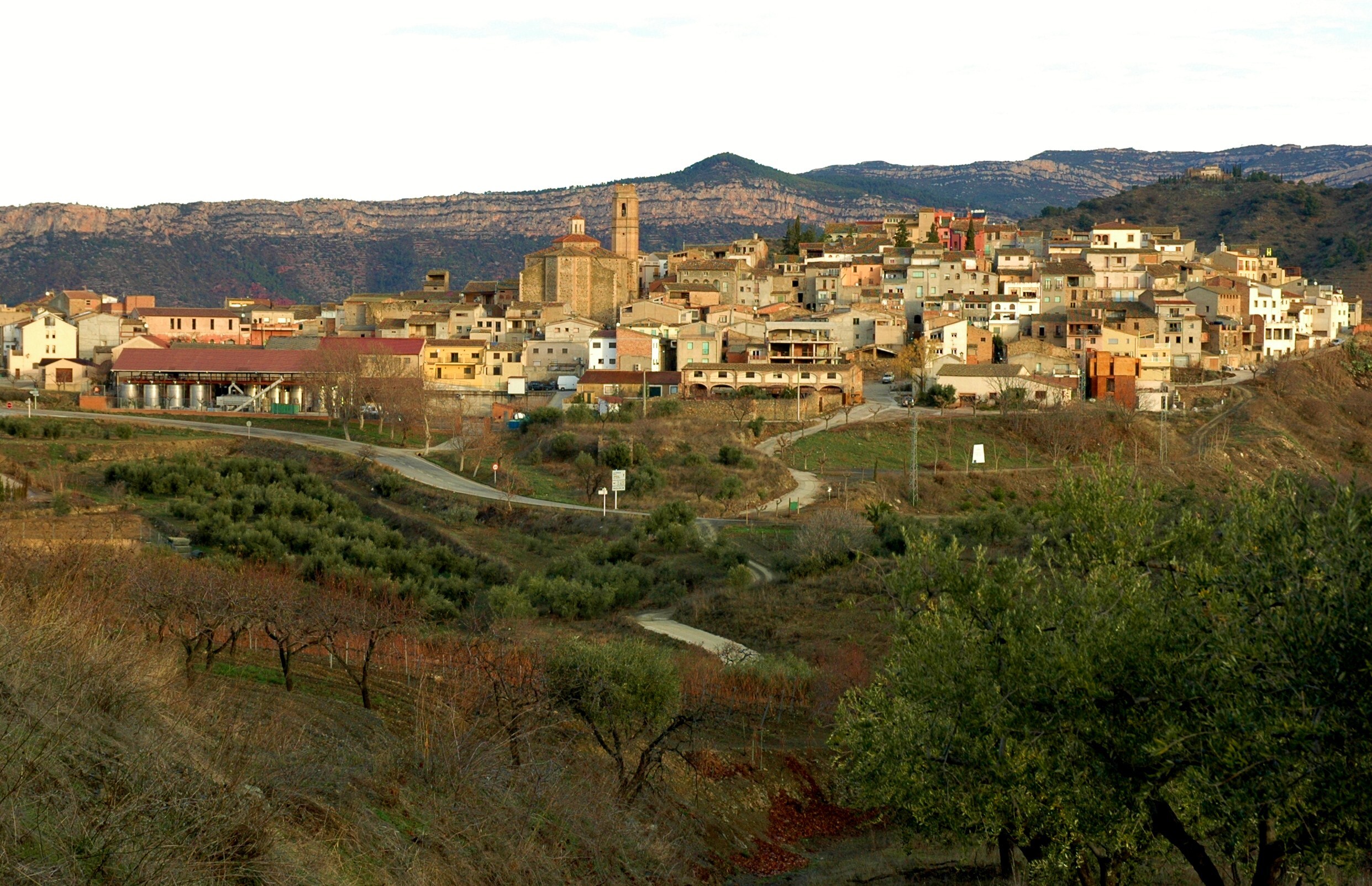 Gratallops-Lohen11-Josep-Renalias