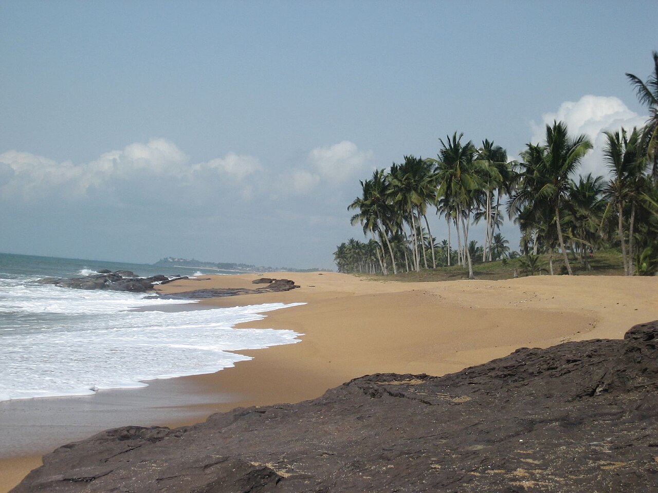 Beach_with_palms_Ghana-Erik Kristensen-wc