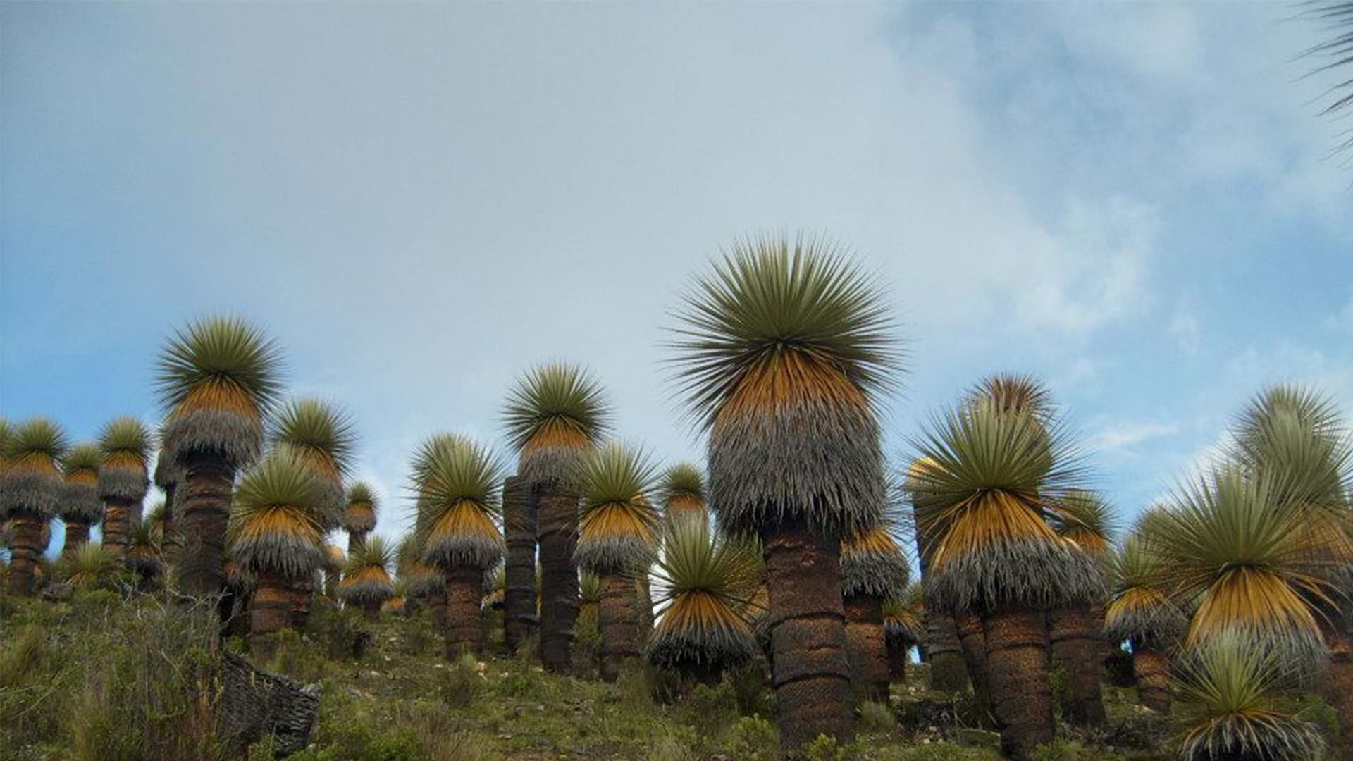titankayoc-peru.travel01